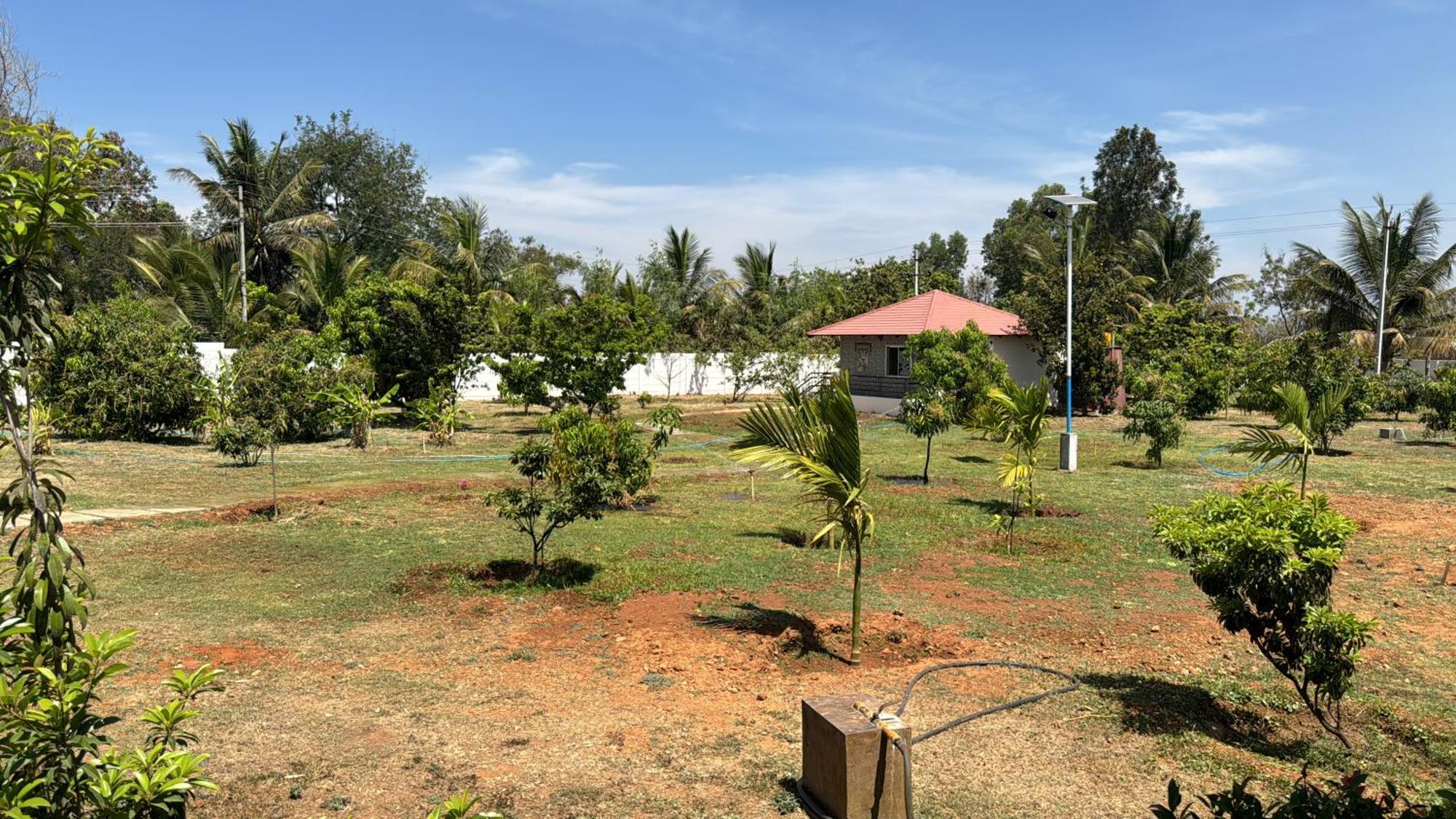 Raj Home Stay Mysore Exterior foto